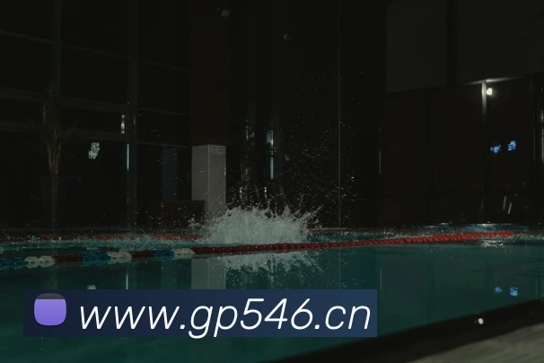 开云官方登陆入口平台生态图